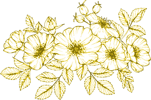 floral-illustration.jpg